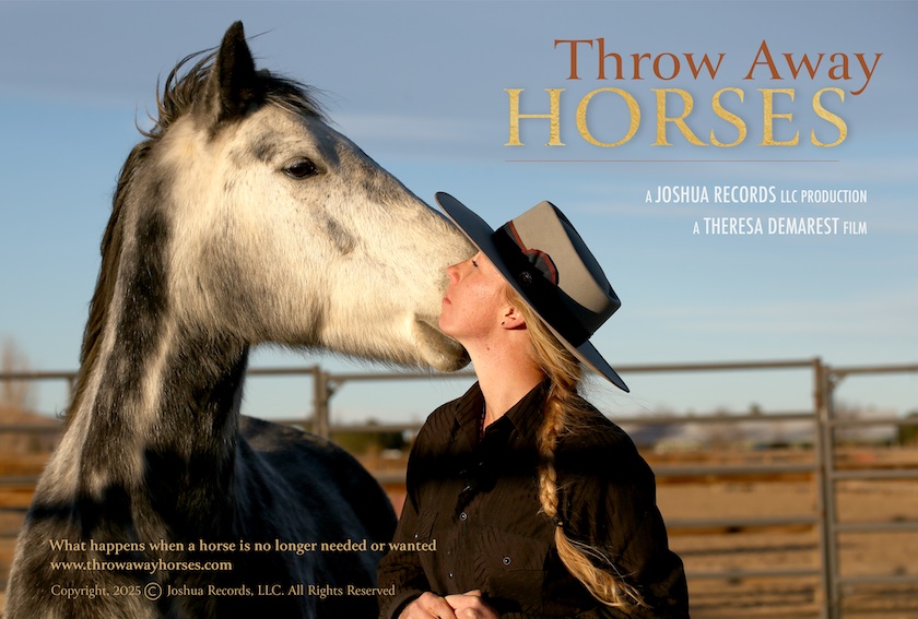 Throw Away Horses